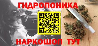 шишки Бийск