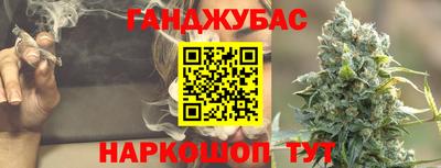 шишки Бийск