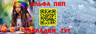 шишки Бийск
