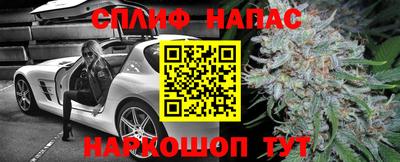 шишки Бийск