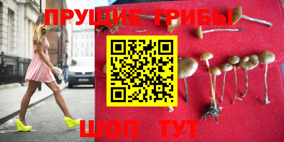 Каменск-Уральский  Псилоцибиновые грибы Psilocybe  Вход с VPN 